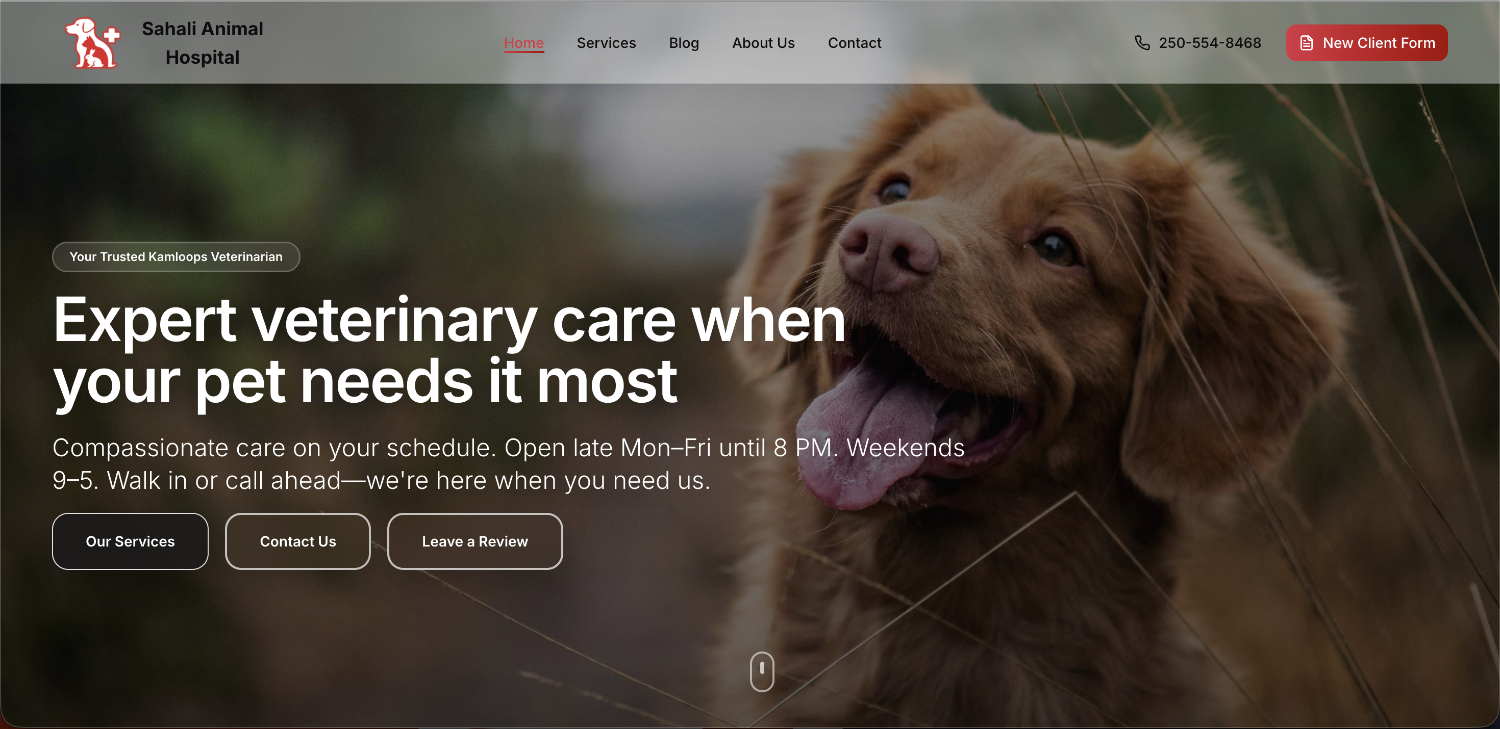 Sahali Animal Hospital Website